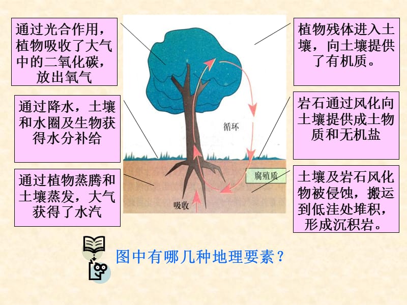 地理环境的整体性.ppt_第2页