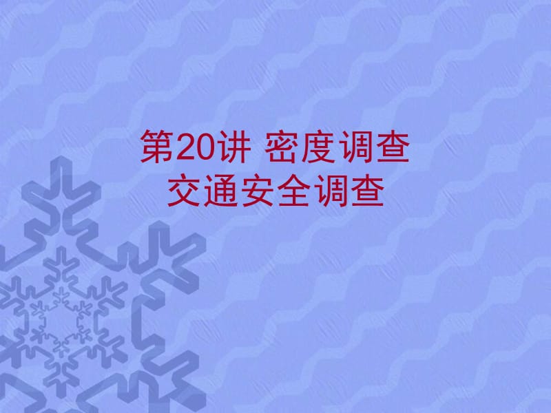 第20讲密度调查,交通事故调查.ppt_第1页