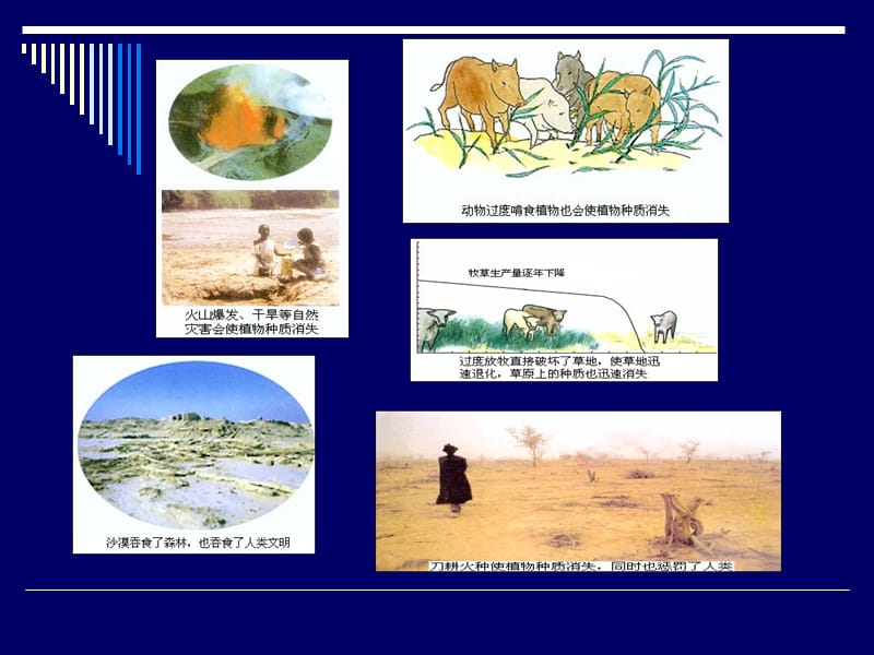 第十一章种质离体保存.ppt_第3页