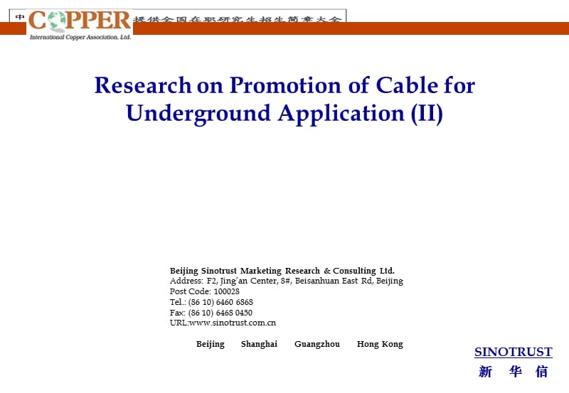 比较少见的英文咨询报告.ppt_第1页