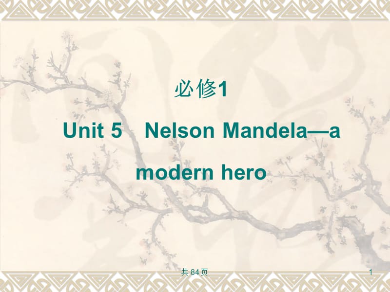 新人教英语词汇句型复习课件必修1Unit5NelsonMandela-amodernhero.ppt_第1页