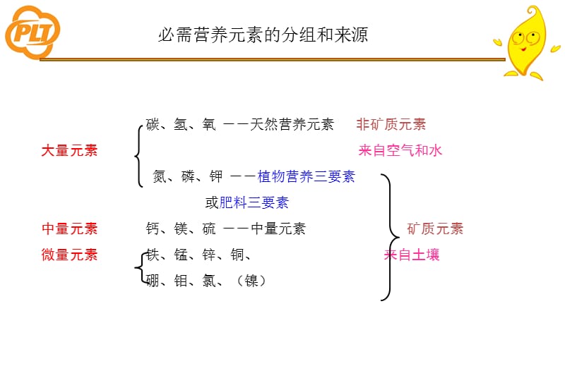 黄瓜种植管理、施肥技术及常三见问题PPT.ppt_第3页