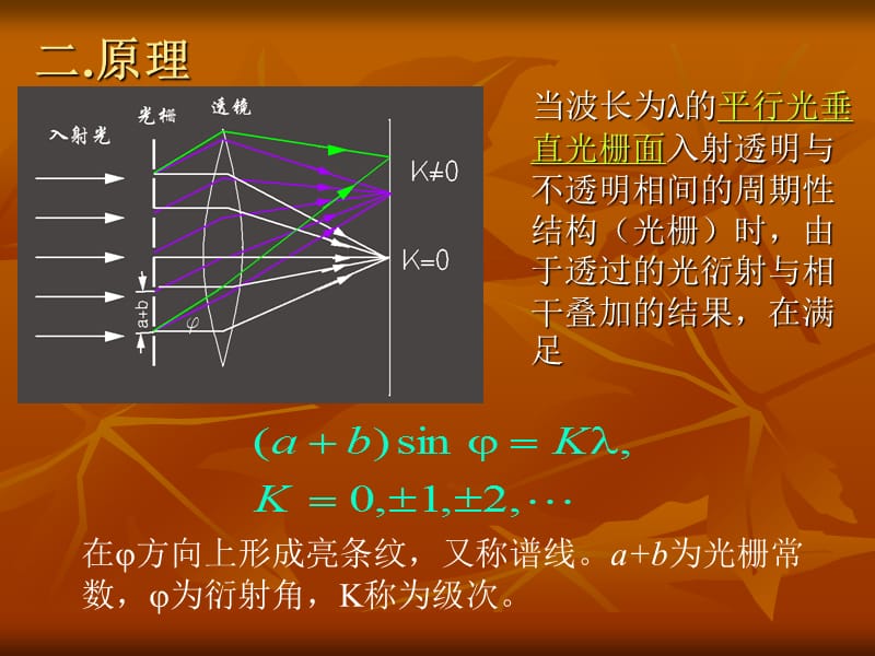 用衍射光栅测定光波波长.ppt_第3页