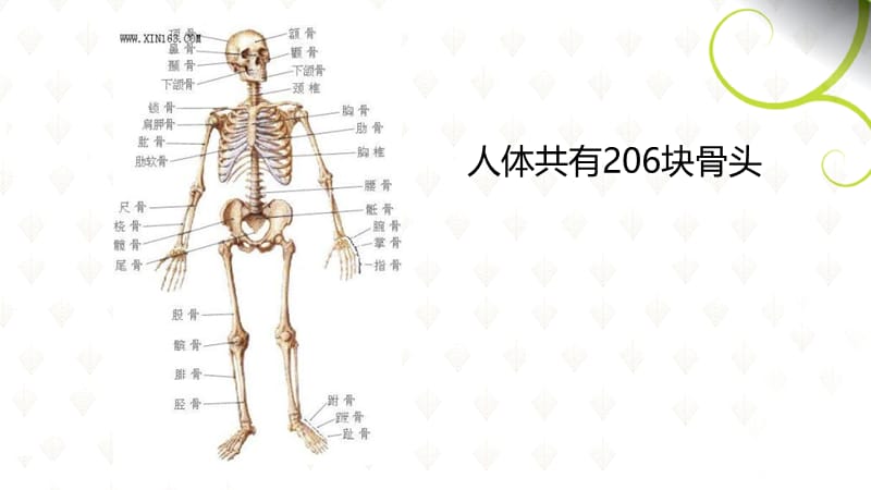 06第六周人体工程学2013年-1.ppt_第3页