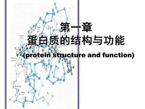 生化,第1章蛋白质的结构与功能.ppt