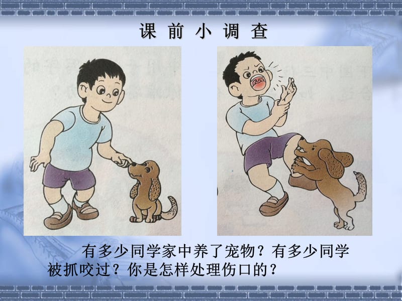 幼儿园安全PPT课件《被猫狗抓咬后怎么办》.ppt_第2页