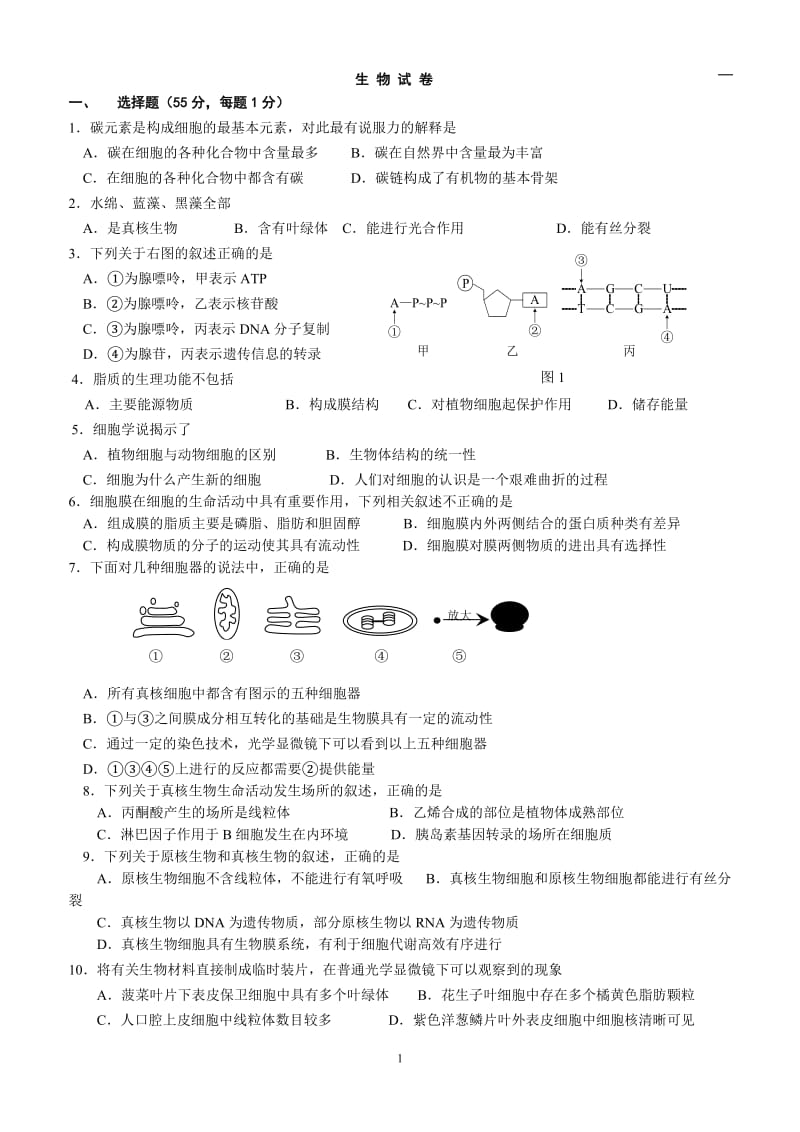 北京四中2012-2013高三开学检测理科生物.doc_第1页