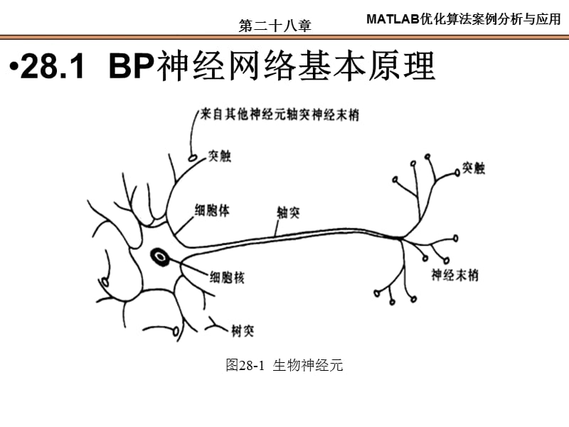 第28章基于BP的数据分类.ppt_第3页