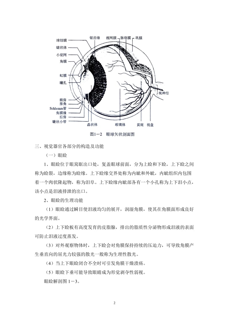 视觉器官和眼的解剖.doc_第3页