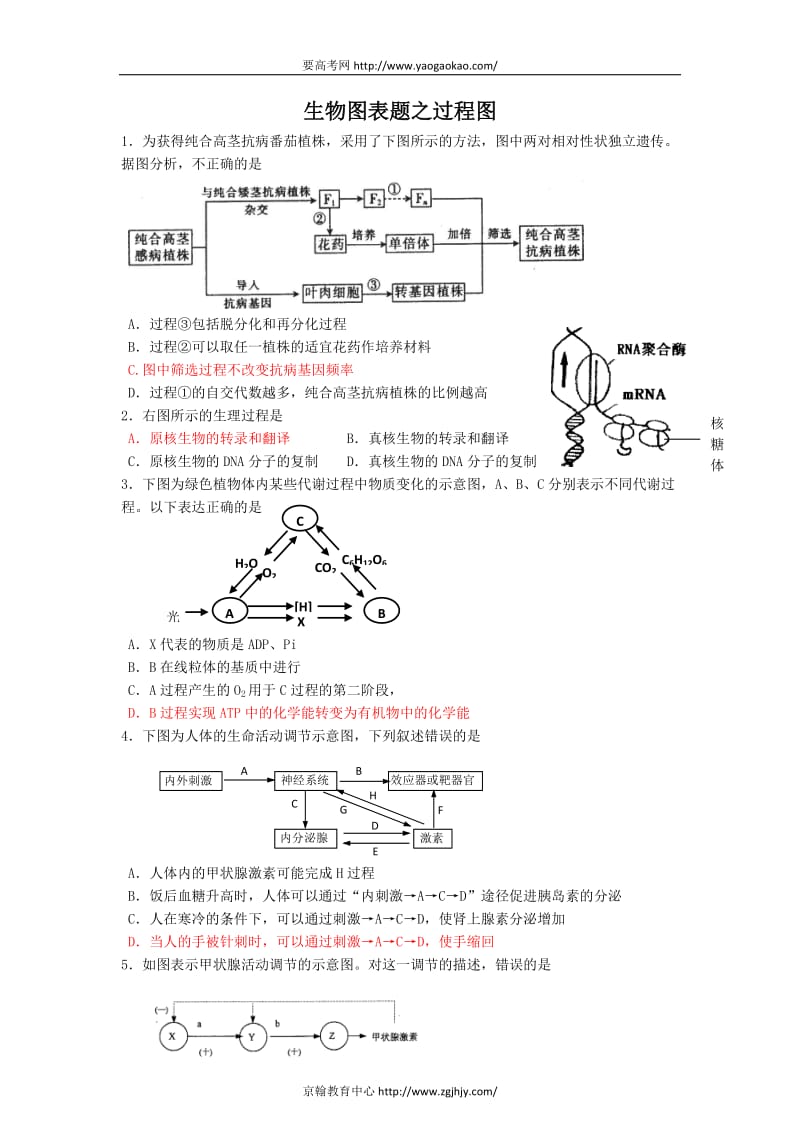 生物图表题之过程图.doc_第1页