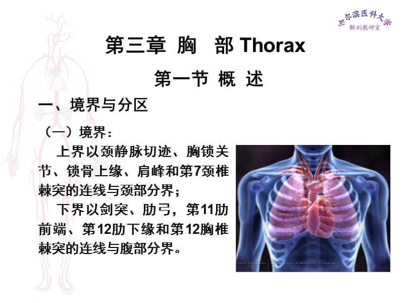 临床医学五年制局部解剖学课件胸部.ppt_第1页