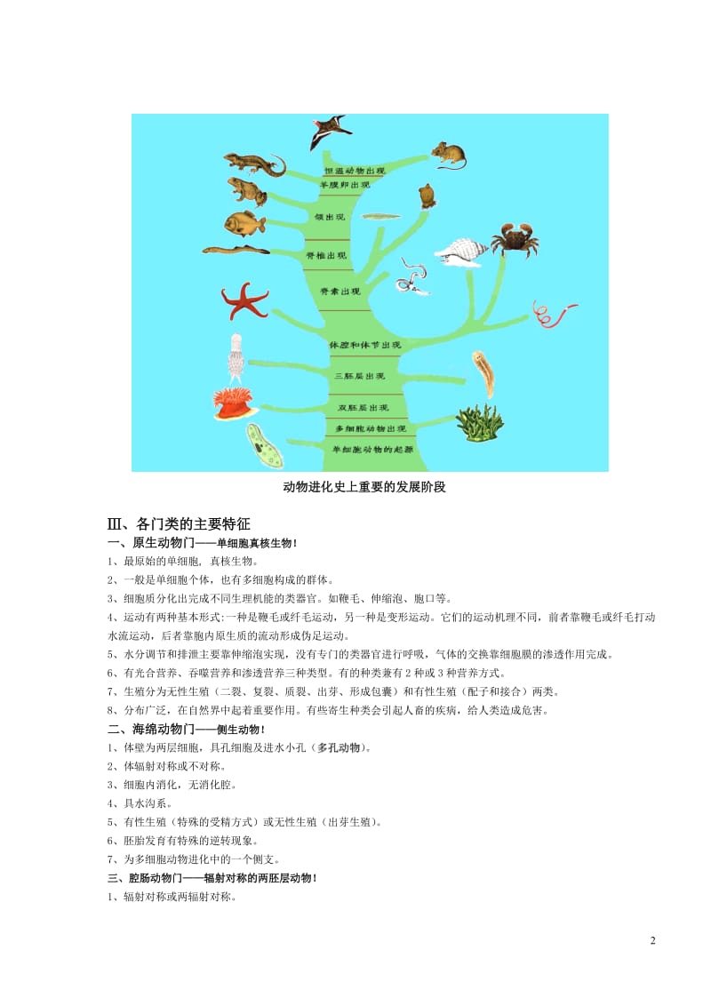 动物学知识总结.doc_第2页