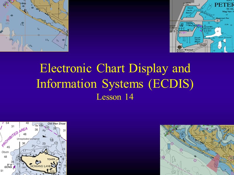 Lsn14Web.ppt_第1页