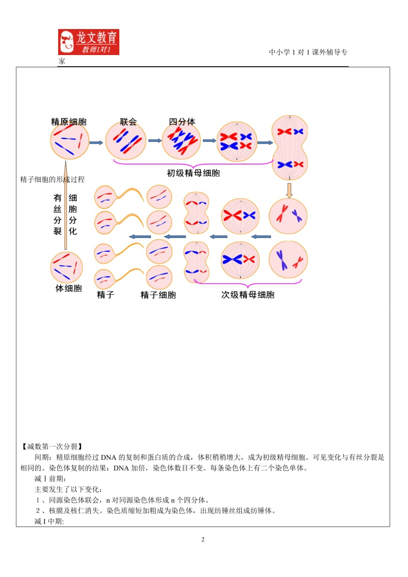 生物专题五授课新模板.doc_第2页