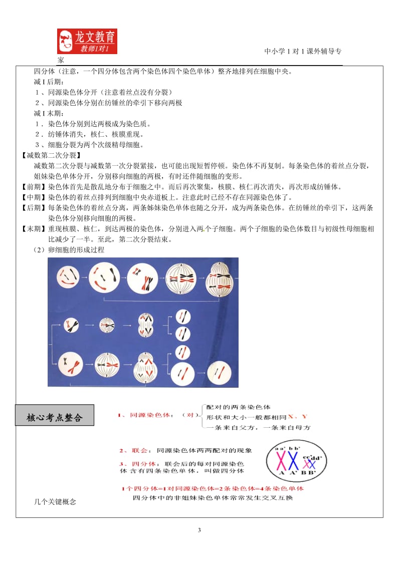 生物专题五授课新模板.doc_第3页