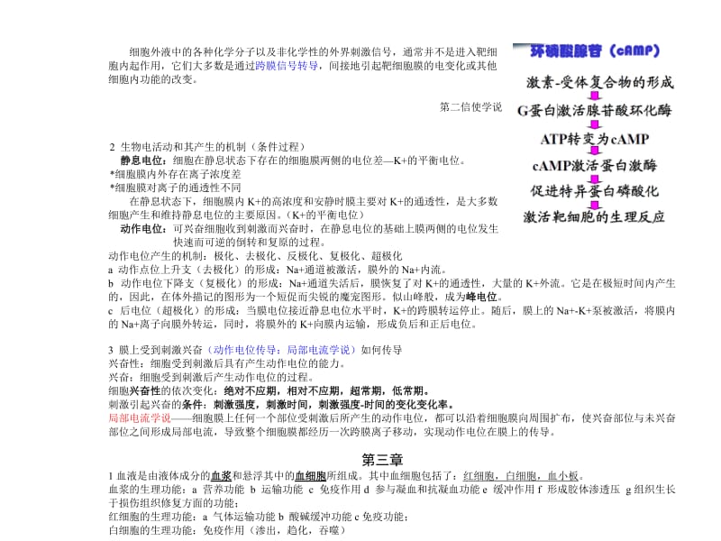 动物生理学重点.doc_第2页