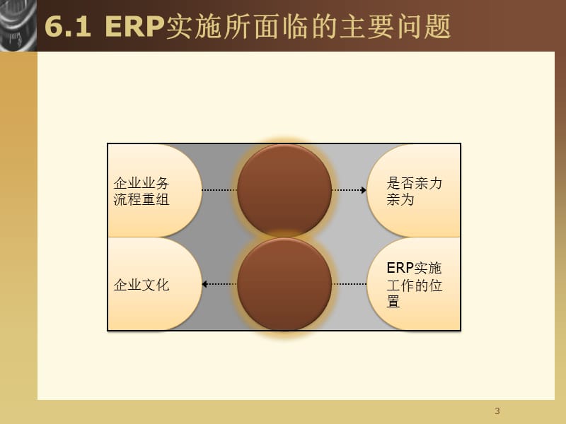 ERP系统的实施Chap06.ppt_第3页