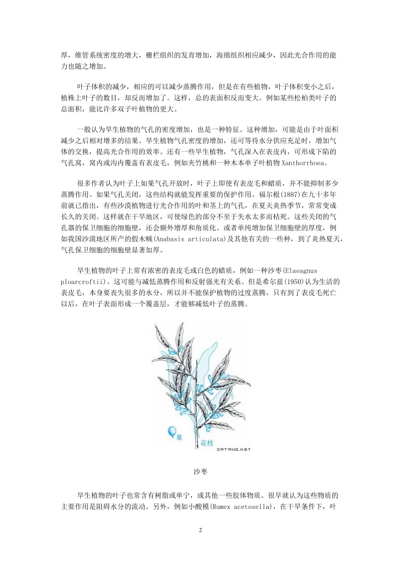 植物的形态结构与环境的关系.doc_第2页