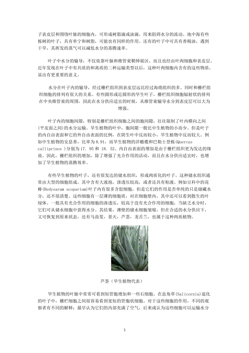 植物的形态结构与环境的关系.doc_第3页