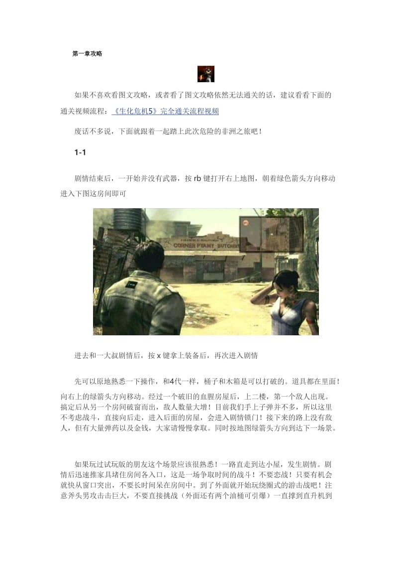 生化危机5图文攻略大全.doc_第1页