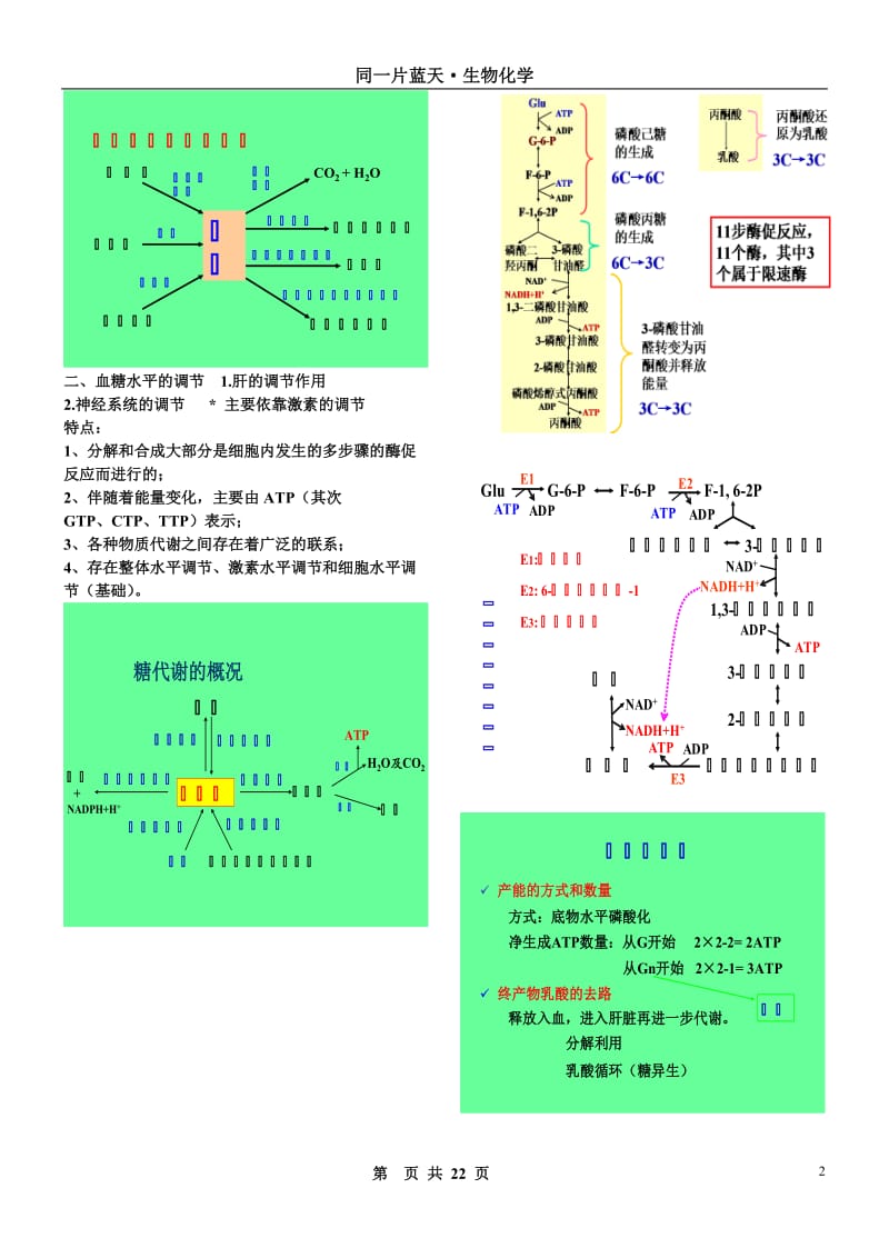 生物与化学·三大营养物质代谢.doc_第2页