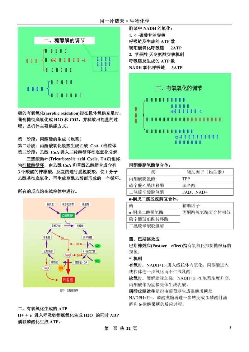 生物与化学·三大营养物质代谢.doc_第3页