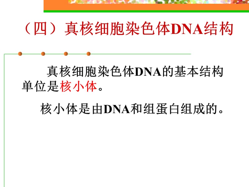 核酸210秋.ppt_第1页