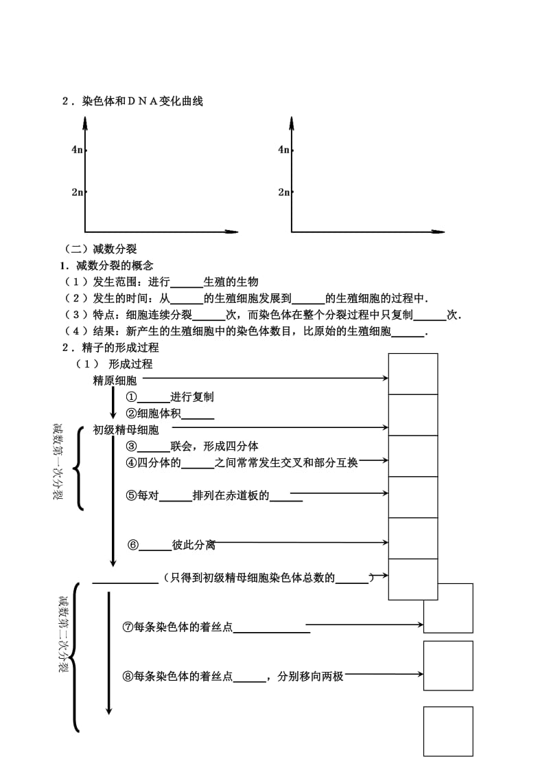 减数分裂教案.doc_第2页