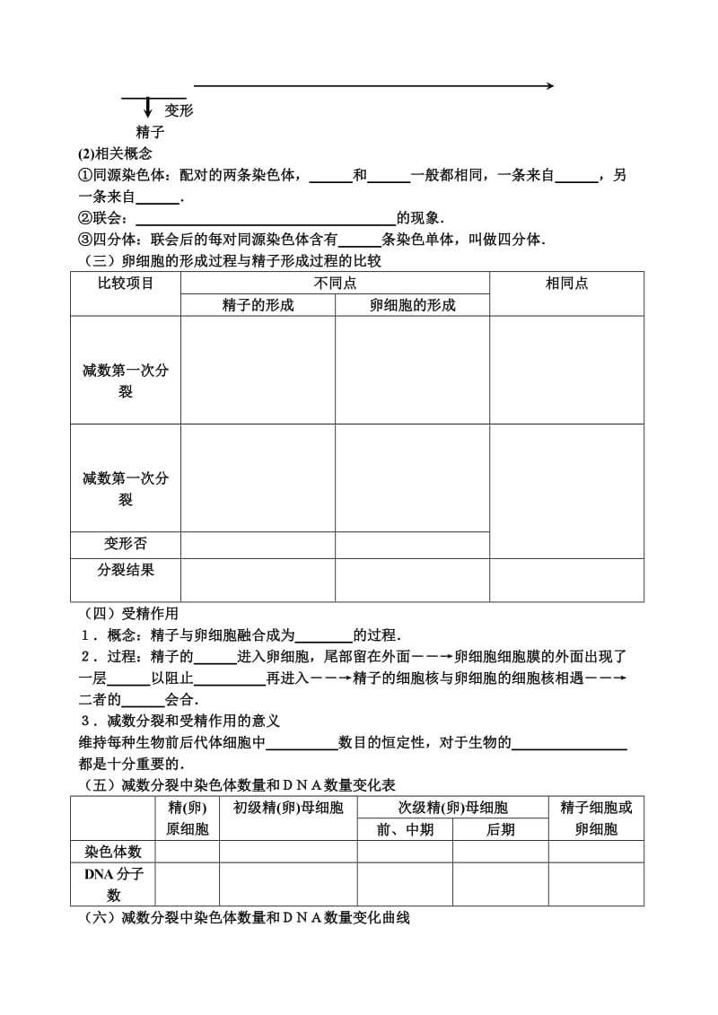 减数分裂教案.doc_第3页