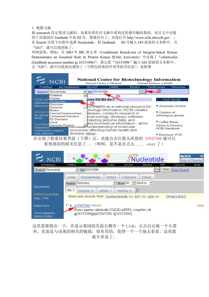 如何查找基因序列？——在Genbank中寻找目的基因的实例.doc_第1页