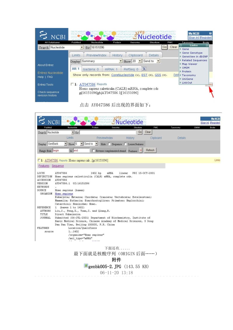 如何查找基因序列？——在Genbank中寻找目的基因的实例.doc_第2页