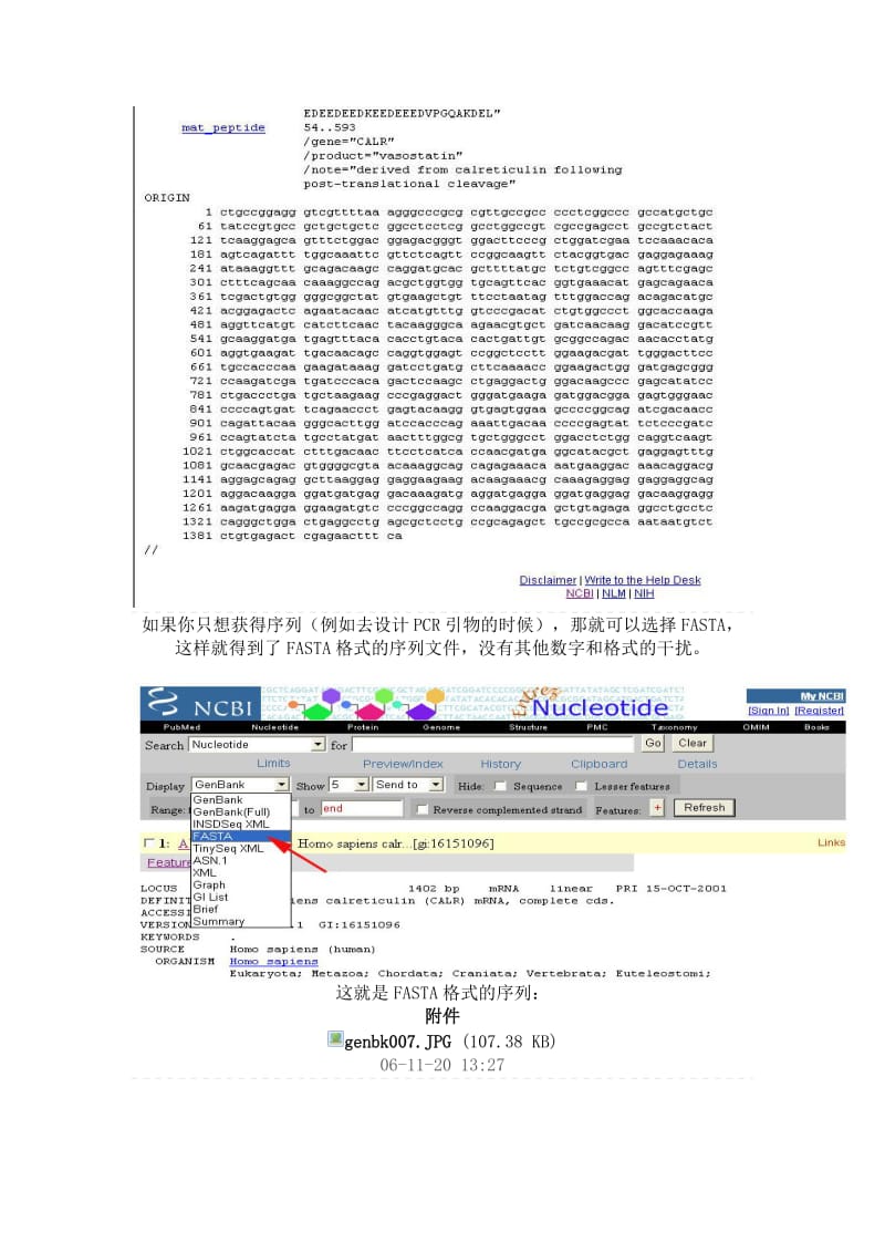 如何查找基因序列？——在Genbank中寻找目的基因的实例.doc_第3页