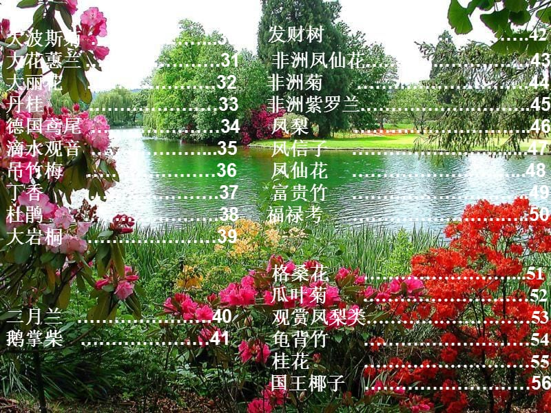 百花图1.ppt_第2页