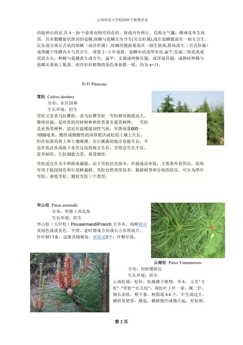 云南师范大学校园种子植物名录(有图).doc_第2页