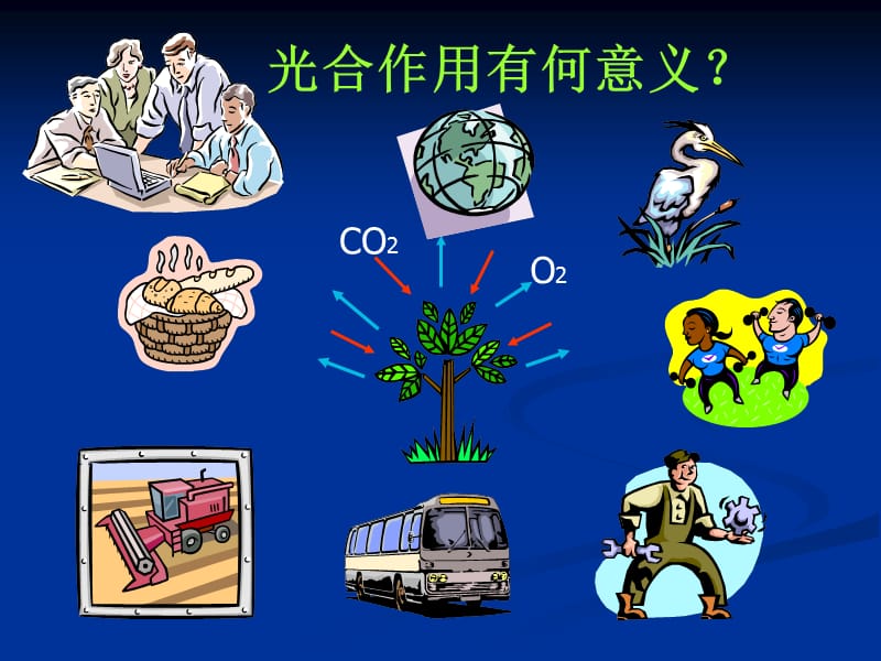 光合作用说课 (2).ppt_第2页