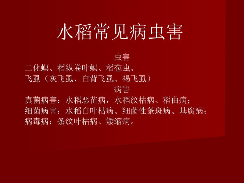 农场水稻常见病虫害 (2).ppt_第1页