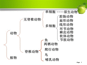 七上浙教版第五节常见的植物.ppt