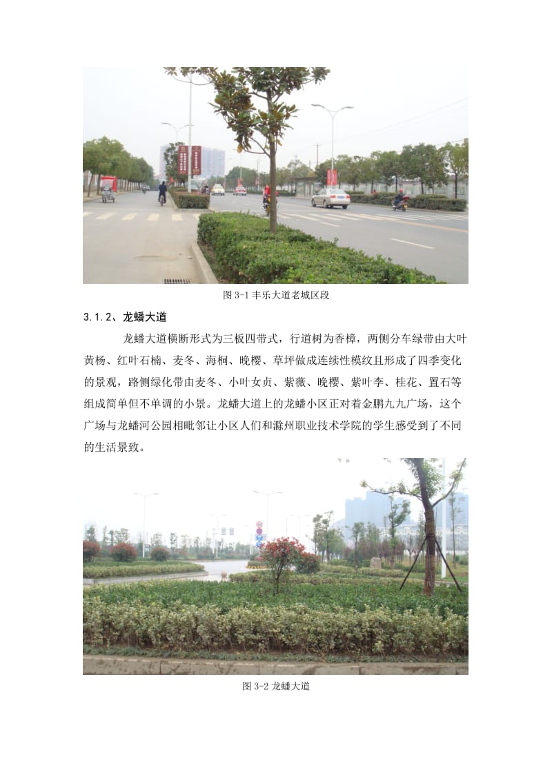 滁州市道路景观调查与分析.doc_第3页