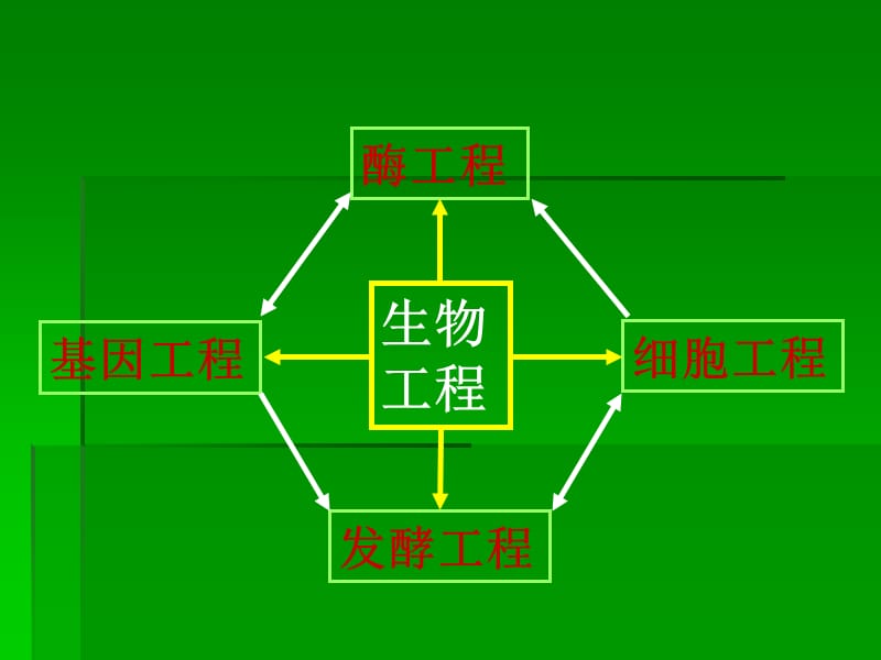 发酵工程-2012-生物科学.ppt_第2页