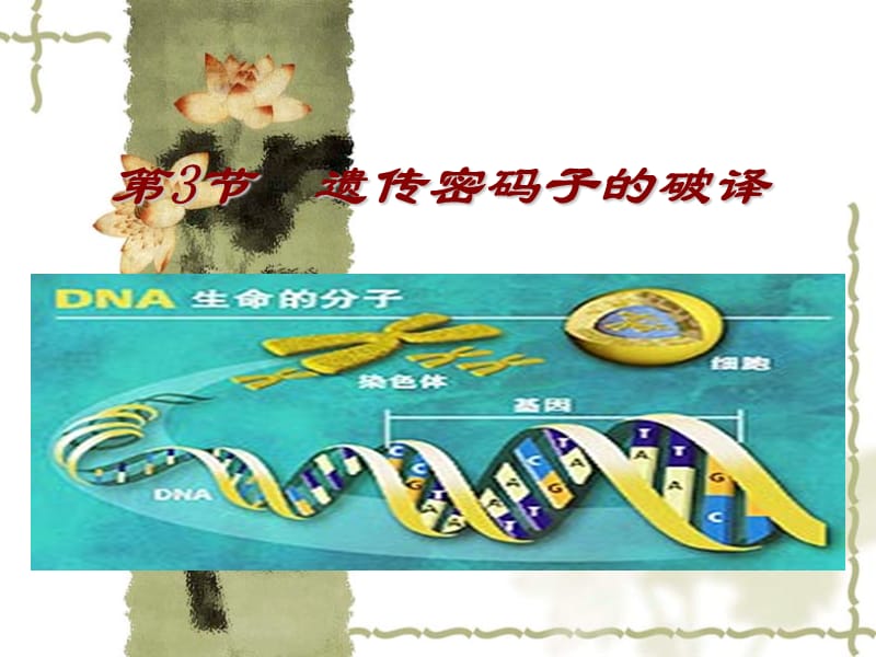 人教必修二生物第4章基因的表达第3节遗传密码子的破译.ppt_第1页