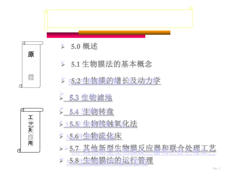 生物膜的增长及动力学.doc_第1页