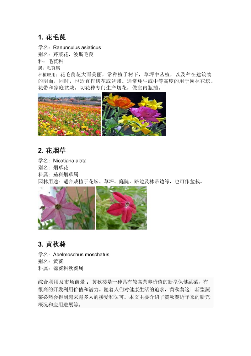 园林植物100种.doc_第1页