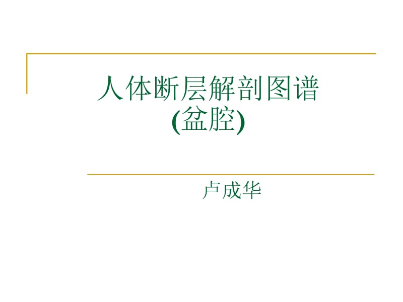 人体断层解剖图谱盆腔 (2).ppt_第1页