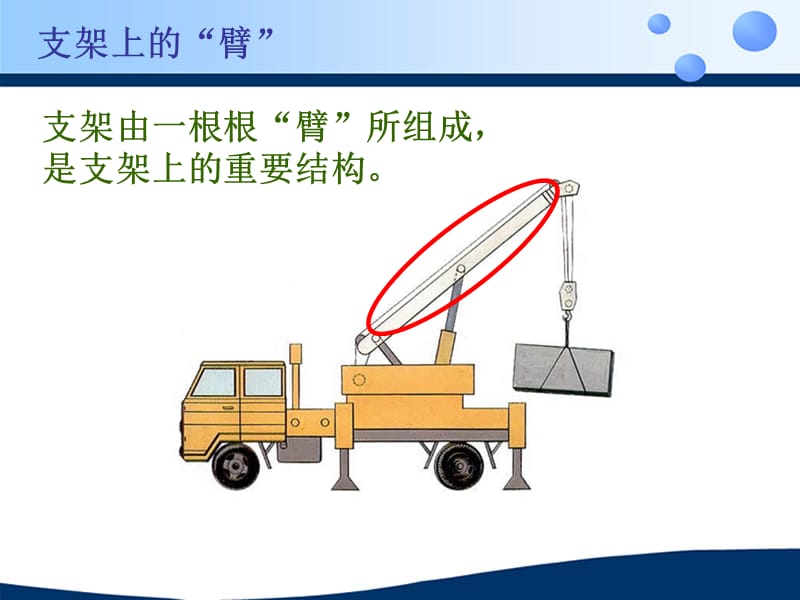 动物的运动 (2).ppt_第3页