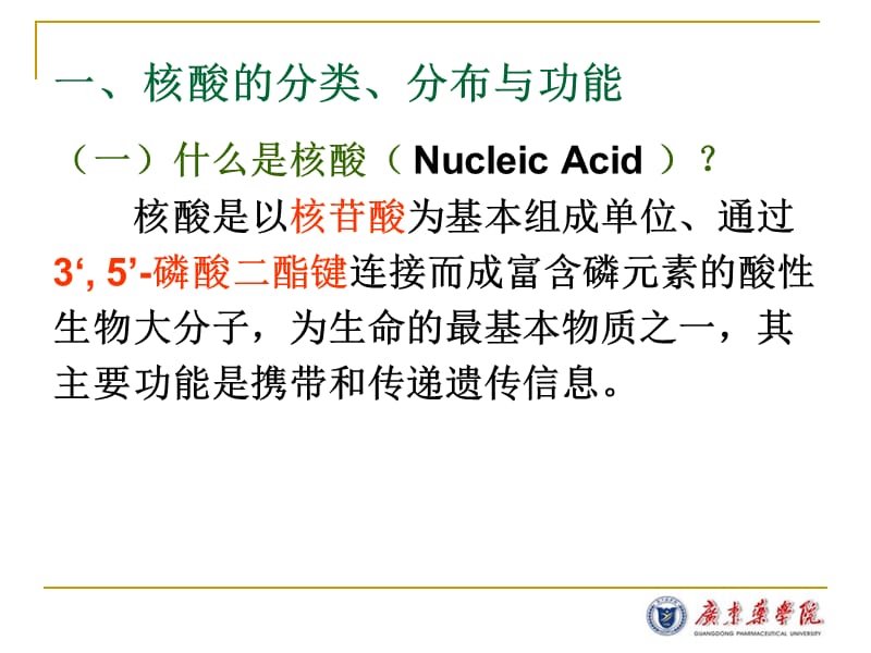 第04章核酸的结构与功能.ppt_第3页