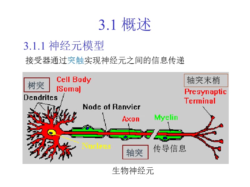 第3章神经网络控制091019101010110926121029.ppt_第2页