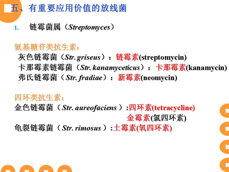 天科微生物6原.ppt_第2页