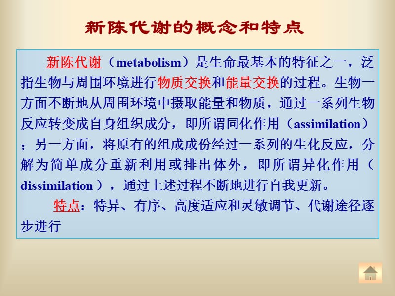 中国农业大学基础生物化学第9章糖代谢课件.ppt_第3页