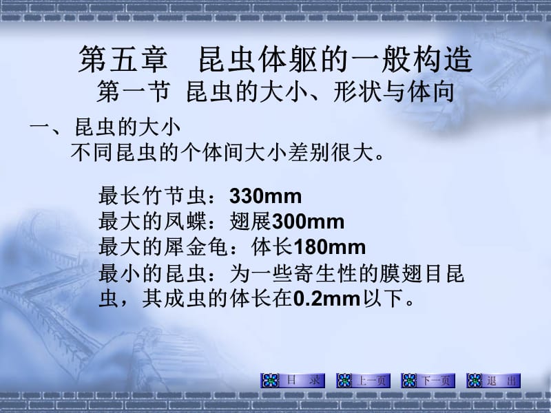 外部形态头部 (2).ppt_第2页