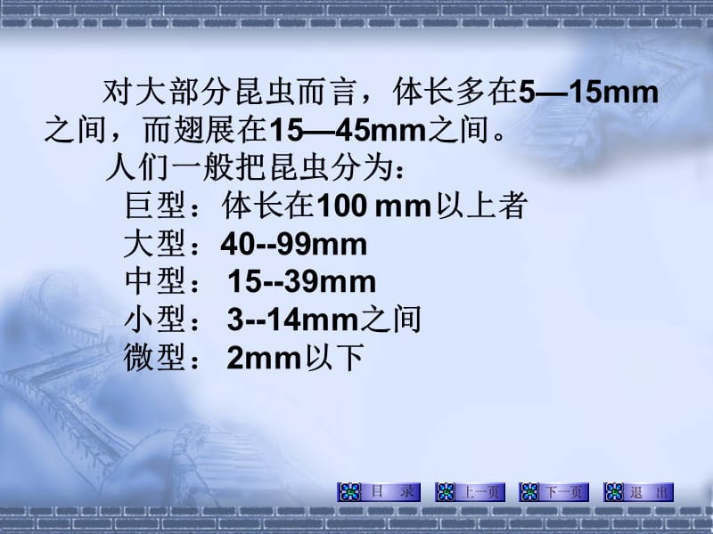 外部形态头部 (2).ppt_第3页